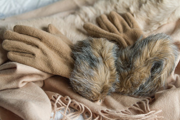 Guanti beige con polso di pelliccia