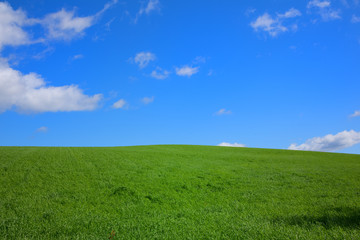 Naklejka premium 丘の風景 秋景色 美瑛 拓進