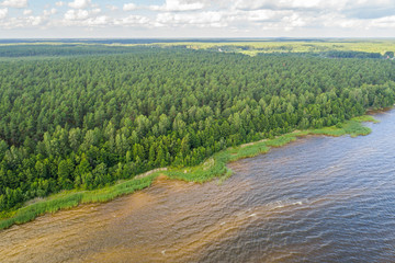 Aerial view of the coastal line at summer day. Lake and forest.