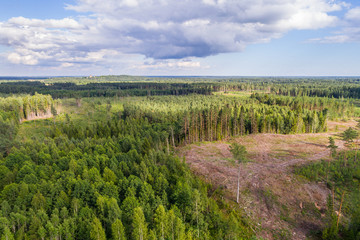Fototapeta na wymiar Aerial shot of forest and deforestation over the hills with trees chopped down.