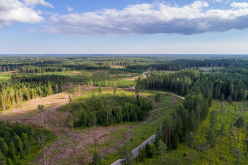 Aerial shot of forest and deforestation over the hills with trees chopped down.