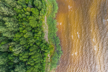 Aerial view of the coastal line at summer day. Lake and forest.