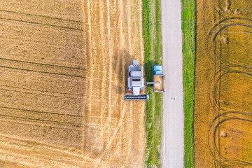Fototapeta na wymiar Aerial view Combine Harvester gathers the wheat at sunset. Harvesting grain field, crop season. Beautiful natural aerial landscape. Food industry.
