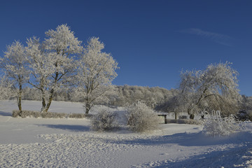 Obraz premium Oberlausitzer Bergland bei Weifa im Winter