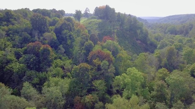 flying above green forest at autumn