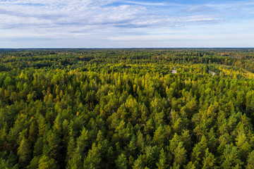 Fototapeta na wymiar Overhead view of foliage trees, river and road in Western Europe. Aerial photography.
