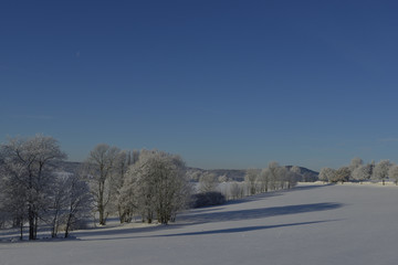 Oberlausitzer Bergland bei Weifa im Winter
