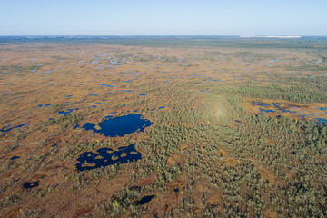 Aerial view of Beautiful lakes in swamp land. Bogs.