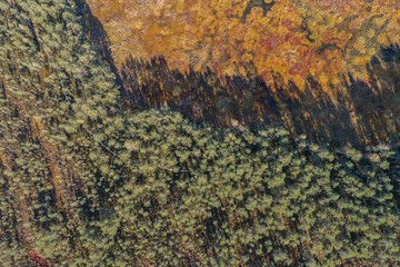 Aerial view of Beautiful lakes in swamp land. Bogs.