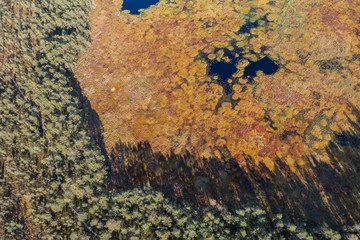 Aerial view of Beautiful lakes in swamp land. Bogs.