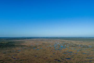 Aerial view of Beautiful lakes in swamp land. Bogs.