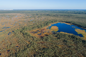 Aerial view of Beautiful lakes in swamp land. Bogs.