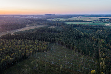 Aerial view of autumn forest in Estonia. Sunset over the forest.