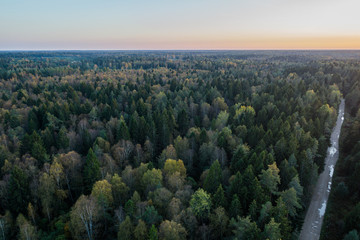Aerial view of road among autumn forest in Estonia. Sunset.