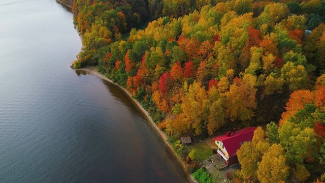 flight over lake and forest at autumn