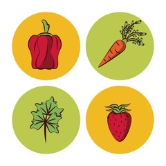 Vegetables icons set