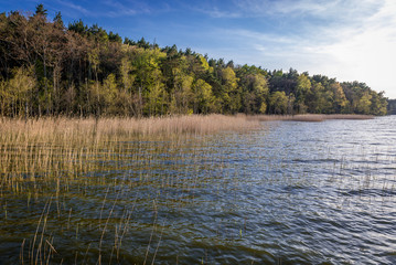 Shore of Dolgie Wielke Lake near Baltic Sea coast in Slowinski National Park, Poland