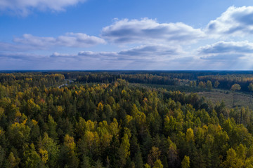 Fototapeta na wymiar Aerial view of autumn trees. Colorful trees from above.