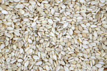 Macro of the seeds of sesame.