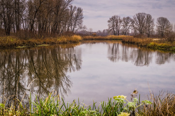 Autumn suburban landscape                                                                                                 