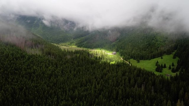 flight over forest in mountains