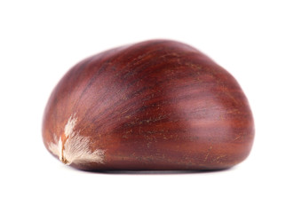 Fresh chestnuts isolated on white background. Hippocastanum isolated. Chestnut with clipping path. Macro