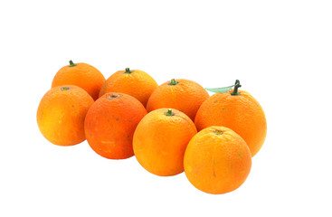 Fresh picked orange isolated on white background