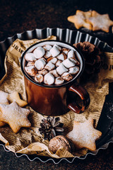 Top view of Hot Christmas Drink. Holiday beverage Cacao or Chocolate with marshmallow and Cookies Shape Star. Stone Background, Copy space