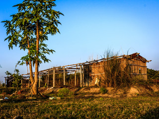 ABANDONNED HUT