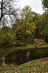 Le bout d'un petit étang  sous la nature en automne ,au parc Josaphat à Schaerbeek 