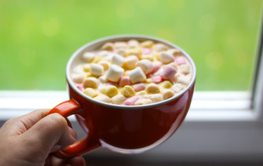 Cocoa drink with marshmallows