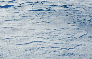 Fresh snow surface in sunny winter day.