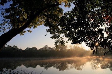 idyllic riverside wiew with mist and sun rays