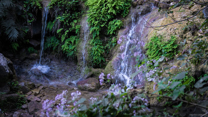 Paisaje floral con cascadas