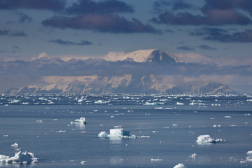 Elephant Island