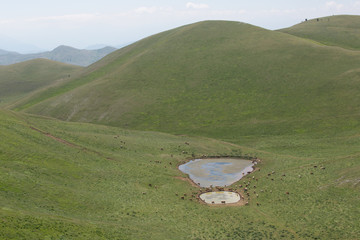 Lago Barisciano, Parco Nazionale Gran Sasso e Monti della Laga, inizio dell'estate 