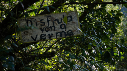 "Disfruta, ven a verme."