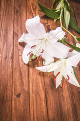 White lily on a wooden background