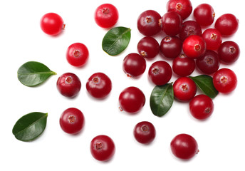 Cranberry with leaves isolated on white. With clipping path. Full depth of field