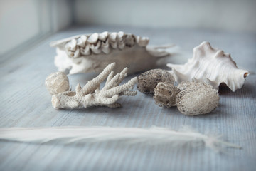 vintage skull squirting cucumber and feather on the wood