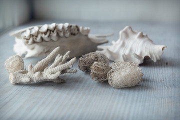 vintage skull squirting cucumber on the wood