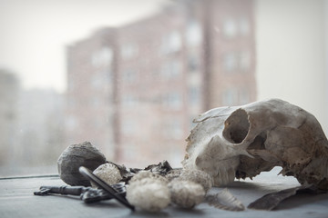 vintage key skull on the wood