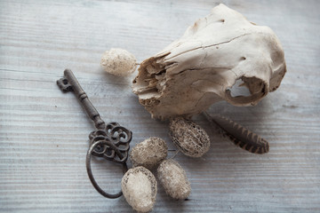 vintage key skull on the wood