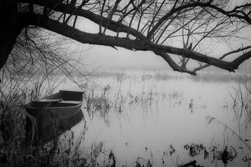 old sentimental wooden boat pusher standing under a leafless willow on the bank of a misty autumn river on a cloudy sad day