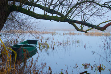 old sentimental wooden boat pusher standing under a leafless willow on the bank of a misty autumn...