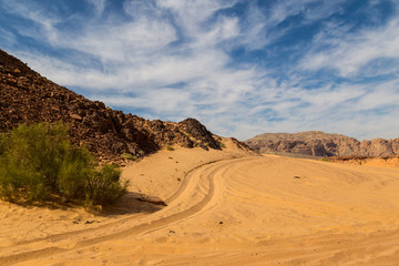 Fototapeta na wymiar Sinai desert surrounded by mountains