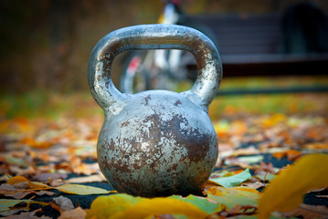 Metal weight in the autumn forest