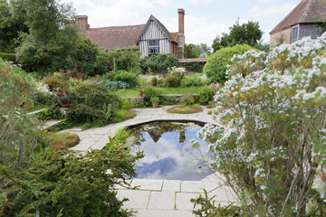 Pond with flowers and plants