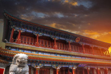 Forbidden City is the largest palace complex in the world.