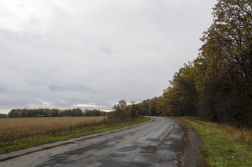 Fototapeta na wymiar Turning the road in a dull autumn landscape